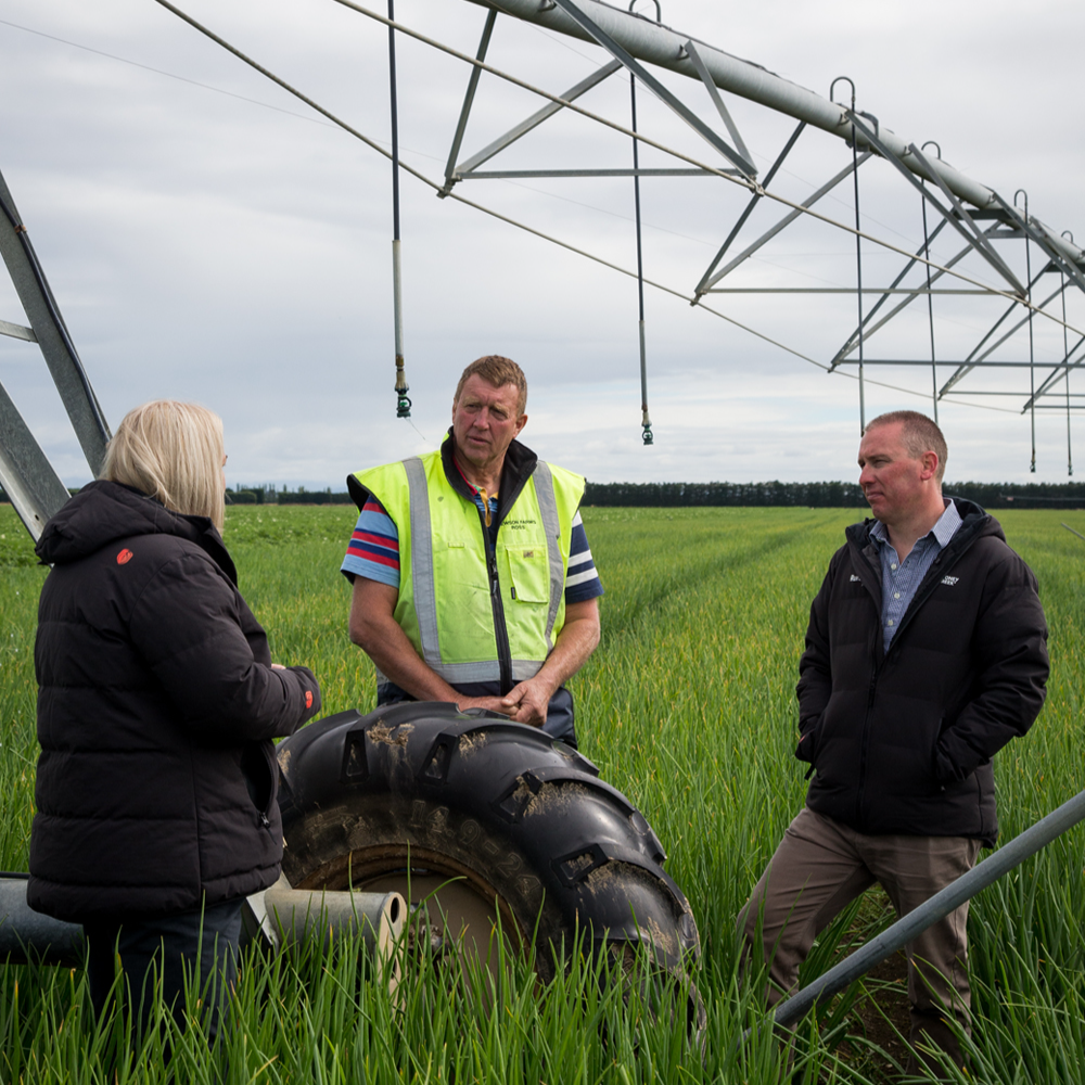 Standing in field looking at irrigator