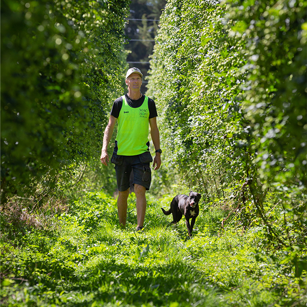 Kiwi hops put magic in brews around the world