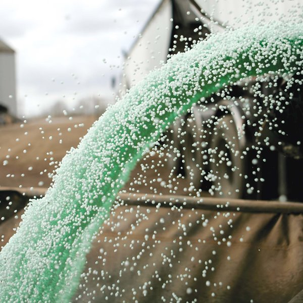 Nutrient duo for flourishing pasture