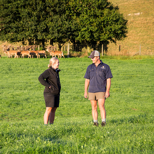 Ultimate Pasture Packs produce ultimate pastures