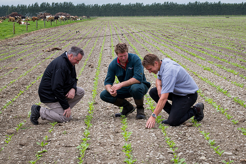 On-Farm Agronomy Support